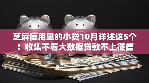 芝麻信用里的小贷10月详述这5个！收集不看大数据贷款不上征信