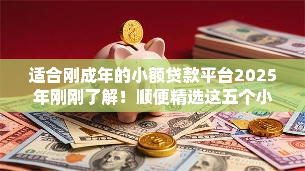适合刚成年的小额贷款平台2025年刚刚了解！顺便精选这五个小额网贷软件适合刚成年借钱