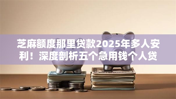 芝麻额度那里贷款2025年多人安利！深度剖析五个急用钱个人贷款利息