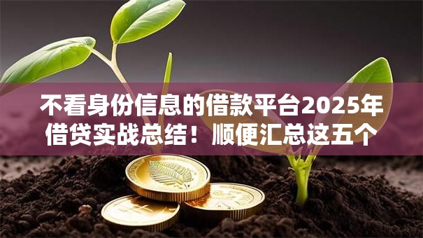不看身份信息的借款平台2025年借贷实战总结！顺便汇总这五个不看身份信息的贷款软件