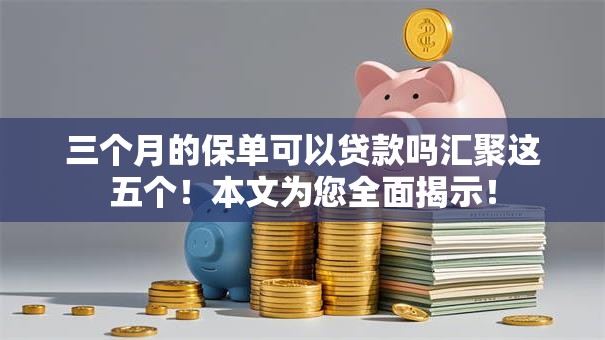 三个月的保单可以贷款吗汇聚这五个！本文为您全面揭示！