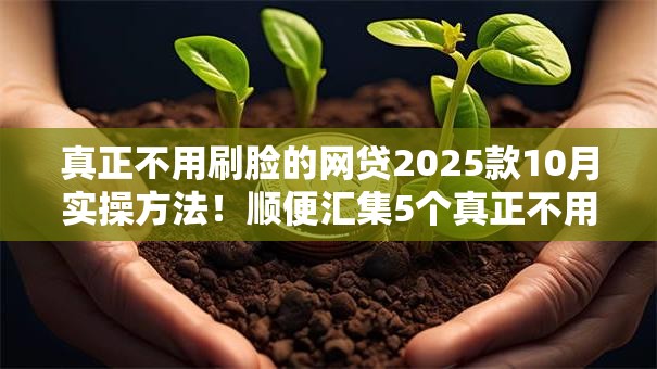 真正不用刷脸的网贷2025款10月实操方法！顺便汇集5个真正不用刷脸的借款平台2025款