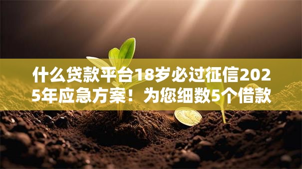 什么贷款平台18岁必过征信2025年应急方案！为您细数5个借款口子十八岁征信必过