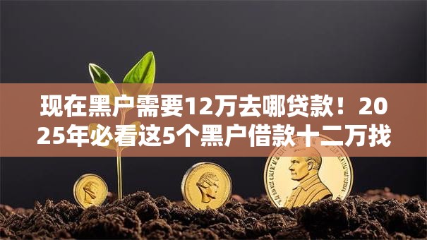 现在黑户需要12万去哪贷款！2025年必看这5个黑户借款十二万找网贷软件