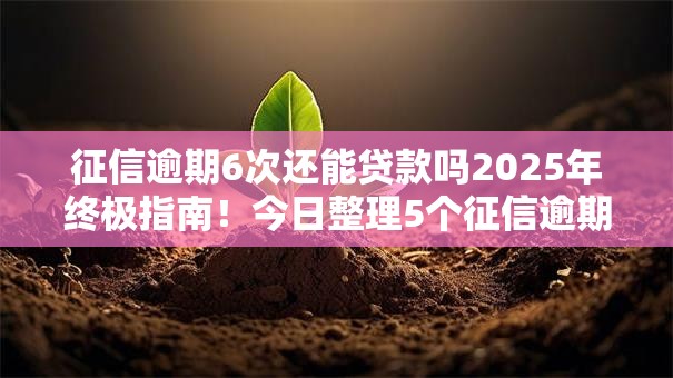 征信逾期6次还能贷款吗2025年终极指南！今日整理5个征信逾期六次还能网贷平台借钱