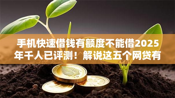 手机快速借钱有额度不能借2025年千人已评测！解说这五个网贷有额度平台不能借款