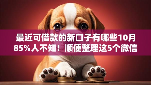 最近可借款的新口子有哪些10月85%人不知！顺便整理这5个微信私人借钱急需17岁