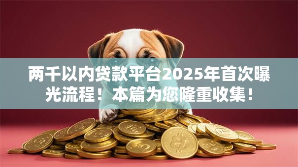 两千以内贷款平台2025年首次曝光流程！本篇为您隆重收集！