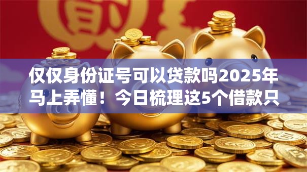 仅仅身份证号可以贷款吗2025年马上弄懂！今日梳理这5个借款只凭身份证号用app