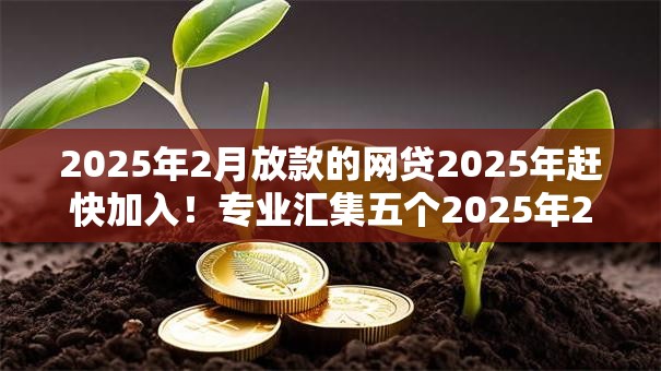 2025年2月放款的网贷2025年赶快加入！专业汇集五个2025年2月平台借的钱