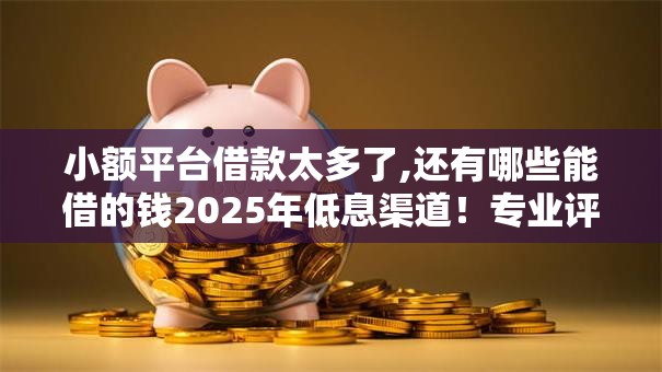 小额平台借款太多了,还有哪些能借的钱2025年低息渠道！专业评析5个网贷口子借多了还有贷款软件