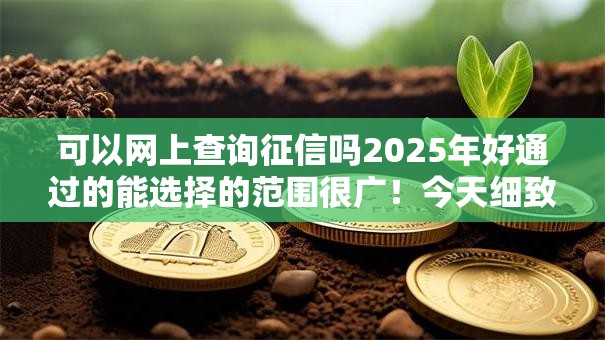 可以网上查询征信吗2025年好通过的能选择的范围很广！今天细致评述这5个黑户借款软件！