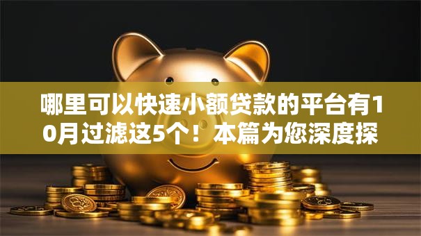 哪里可以快速小额贷款的平台有10月过滤这5个！本篇为您深度探究！