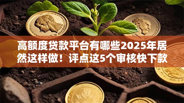 高额度贷款平台有哪些2025年居然这样做！评点这5个审核快下款快的贷款平台