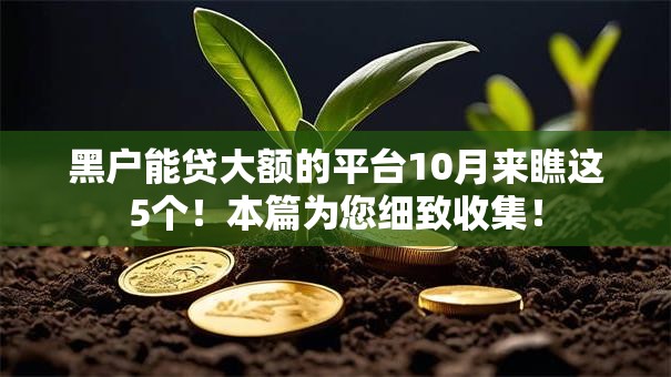黑户能贷大额的平台10月来瞧这5个！本篇为您细致收集！