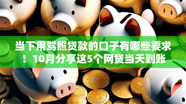 当下用驾照贷款的口子有哪些要求！10月分享这5个网贷当天到账