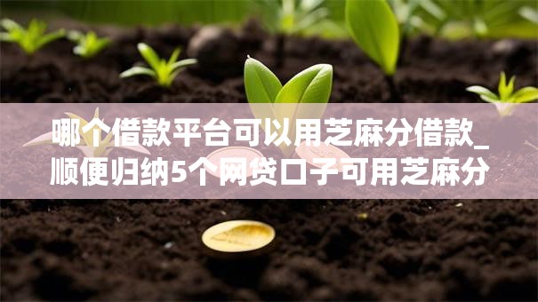 哪个借款平台可以用芝麻分借款_顺便归纳5个网贷口子可用芝麻分贷款