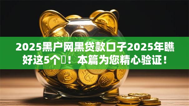 2025黑户网黑贷款口子2025年瞧好这5个​！本篇为您精心验证！