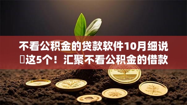 不看公积金的贷款软件10月细说​这5个！汇聚不看公积金的借款app