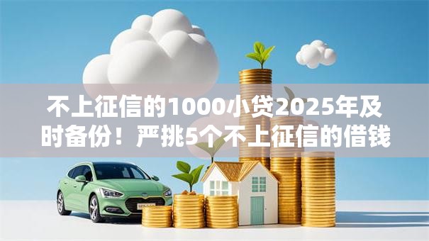 不上征信的1000小贷2025年及时备份！严挑5个不上征信的借钱口子