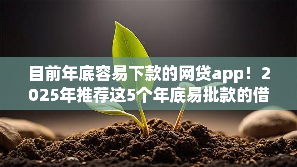 目前年底容易下款的网贷app！2025年推荐这5个年底易批款的借款平台