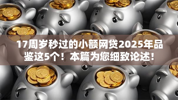 17周岁秒过的小额网贷2025年品鉴这5个！本篇为您细致论述！
