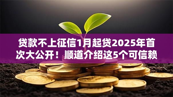 贷款不上征信1月起贷2025年首次大公开！顺道介绍这5个可信赖的网上借款平台