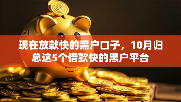 现在放款快的黑户口子，10月归总这5个借款快的黑户平台