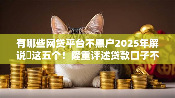 有哪些网贷平台不黑户2025年解说​这五个！隆重评述贷款口子不黑户借钱软件