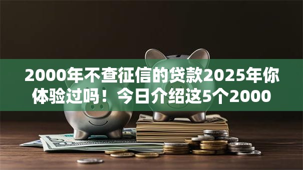 2000年不查征信的贷款2025年你体验过吗！今日介绍这5个2000年不查征信的网贷口子