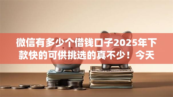 微信有多少个借钱口子2025年下款快的可供挑选的真不少！今天深入归类​这5个网贷app！