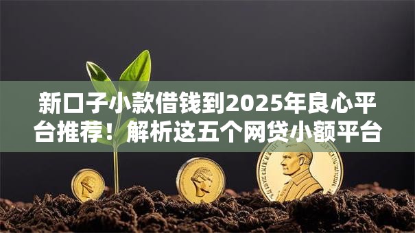 新口子小款借钱到2025年良心平台推荐！解析这五个网贷小额平台借款到