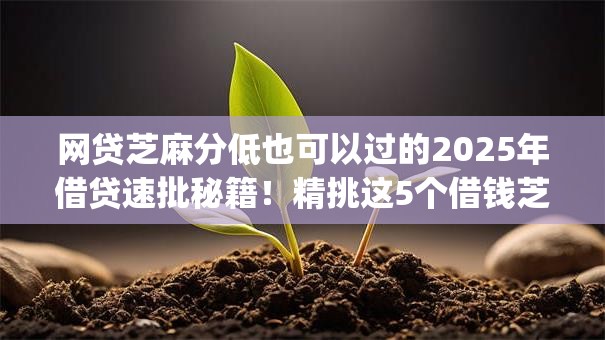 网贷芝麻分低也可以过的2025年借贷速批秘籍!精挑这5个借钱芝麻分低也可以过的app 网贷芝麻分低也可以过的2025年借贷速批秘籍!精挑这5个借钱芝麻分低也可以过的app