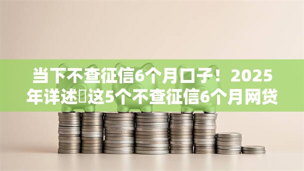 当下不查征信6个月口子！2025年详述​这5个不查征信6个月网贷软件