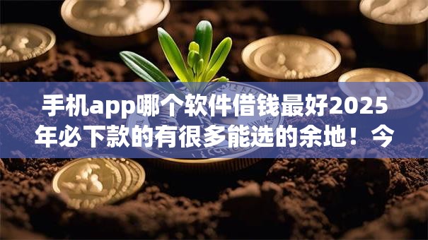 手机app哪个软件借钱最好2025年必下款的有很多能选的余地！今天为您全面探讨这五个黑户借款软件！