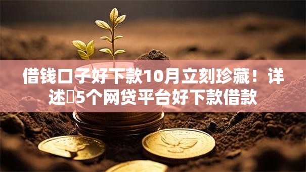 借钱口子好下款10月立刻珍藏！详述​5个网贷平台好下款借款