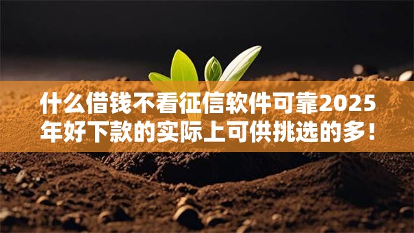 什么借钱不看征信软件可靠2025年好下款的实际上可供挑选的多！本篇为您全面呈现这5个借款软件！