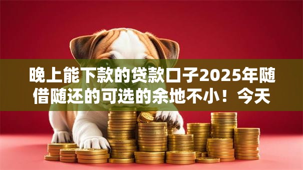 晚上能下款的贷款口子2025年随借随还的可选的余地不小！今天全面深挖这5个借款平台！