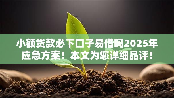 小额贷款必下口子易借吗2025年应急方案！本文为您详细品评！