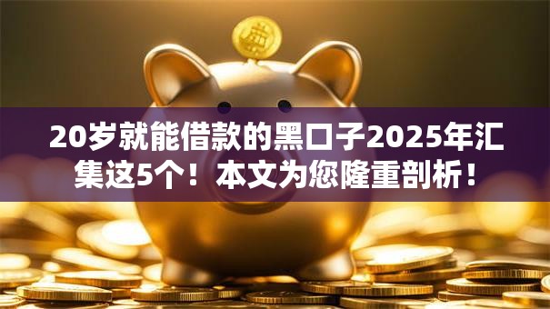 20岁就能借款的黑口子2025年汇集这5个！本文为您隆重剖析！