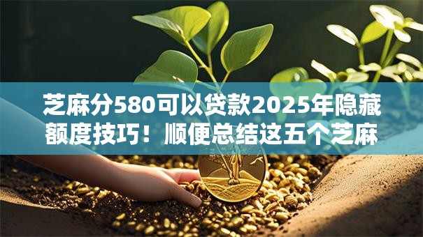 芝麻分580可以贷款2025年隐藏额度技巧！顺便总结这五个芝麻分580可以网贷口子