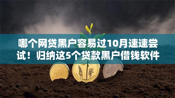 哪个网贷黑户容易过10月速速尝试！归纳这5个贷款黑户借钱软件容易过