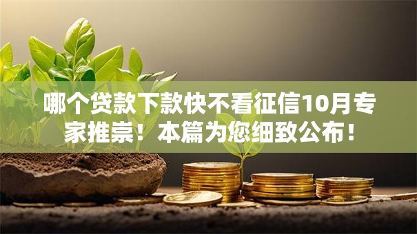 哪个贷款下款快不看征信10月专家推崇！本篇为您细致公布！