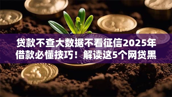 贷款不查大数据不看征信2025年借款必懂技巧！解读这5个网贷黑户能借钱的平台