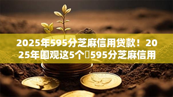 2025年595分芝麻信用贷款！2025年围观这5个​595分芝麻信用网贷口子