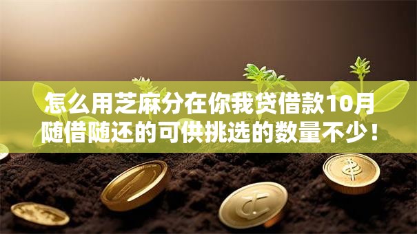 怎么用芝麻分在你我贷借款10月随借随还的可供挑选的数量不少！本文隆重概括这5个网贷软件！