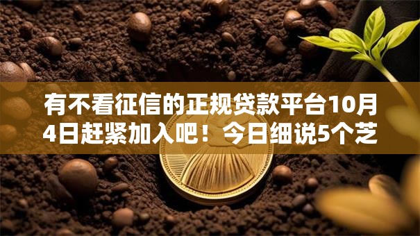 有不看征信的正规贷款平台10月4日赶紧加入吧！今日细说5个芝麻借款需要填的资料