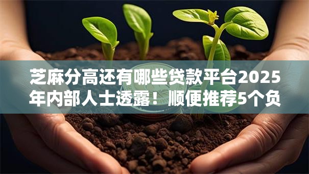 芝麻分高还有哪些贷款平台2025年内部人士透露！顺便推荐5个负债过高  贷款口子