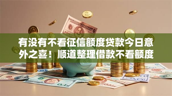 有没有不看征信额度贷款今日意外之喜！顺道整理借款不看额度平台可以贷款