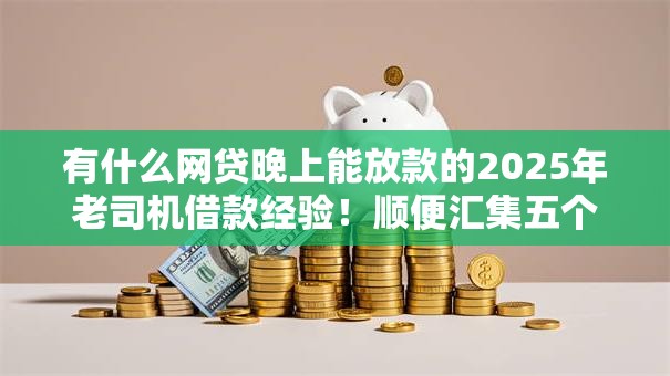 有什么网贷晚上能放款的2025年老司机借款经验！顺便汇集五个贷款口子晚上能放款的